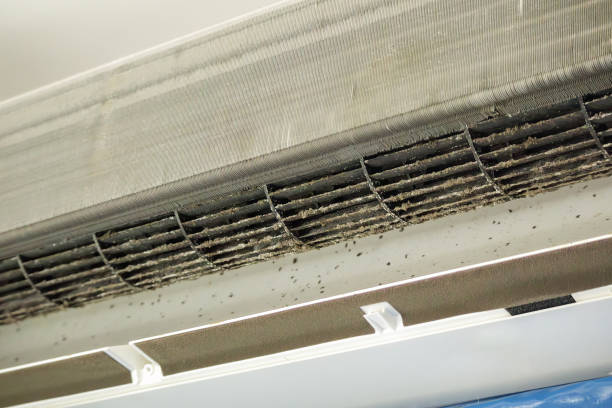 Best Home Air Vent Cleaning  in Meadow Vista, CA